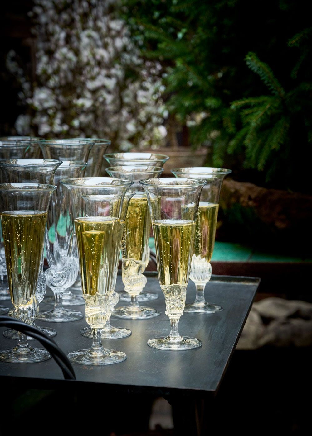 Champagne glass