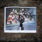 Bouquets in a Fruitful Period