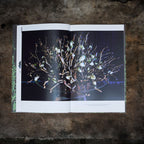 From Advent to Twelfth Night