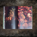 From Advent to Twelfth Night