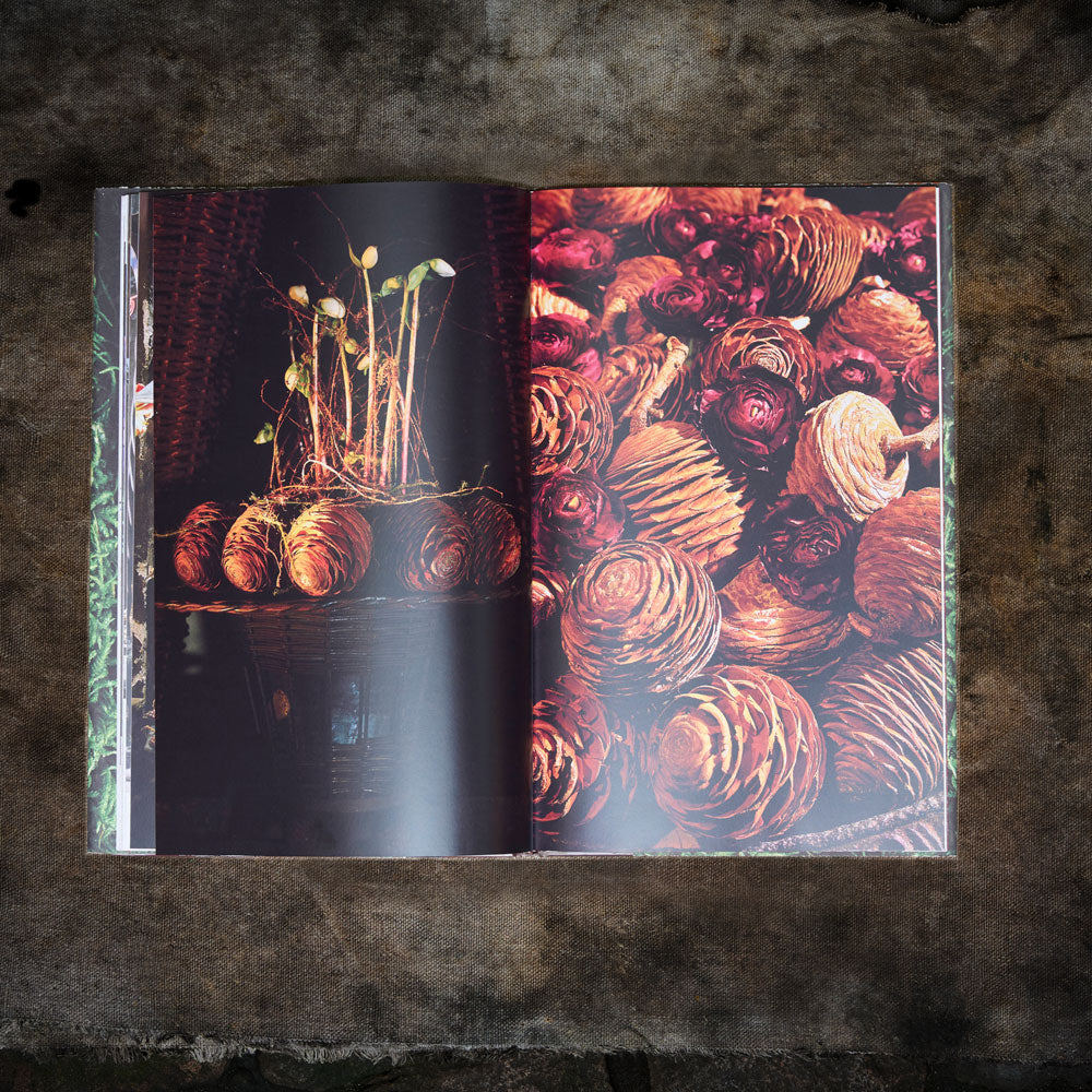 From Advent to Twelfth Night