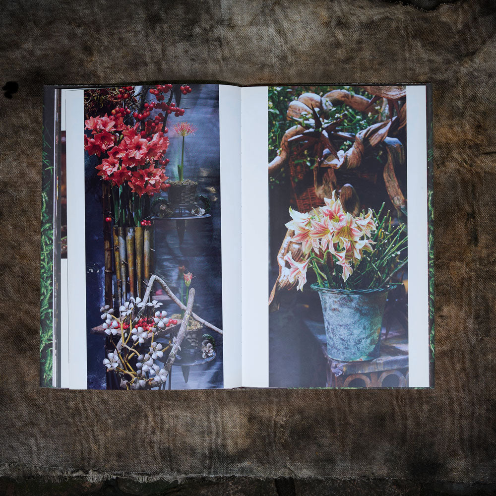 From Advent to Twelfth Night