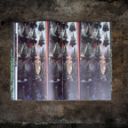 From Advent to Twelfth Night