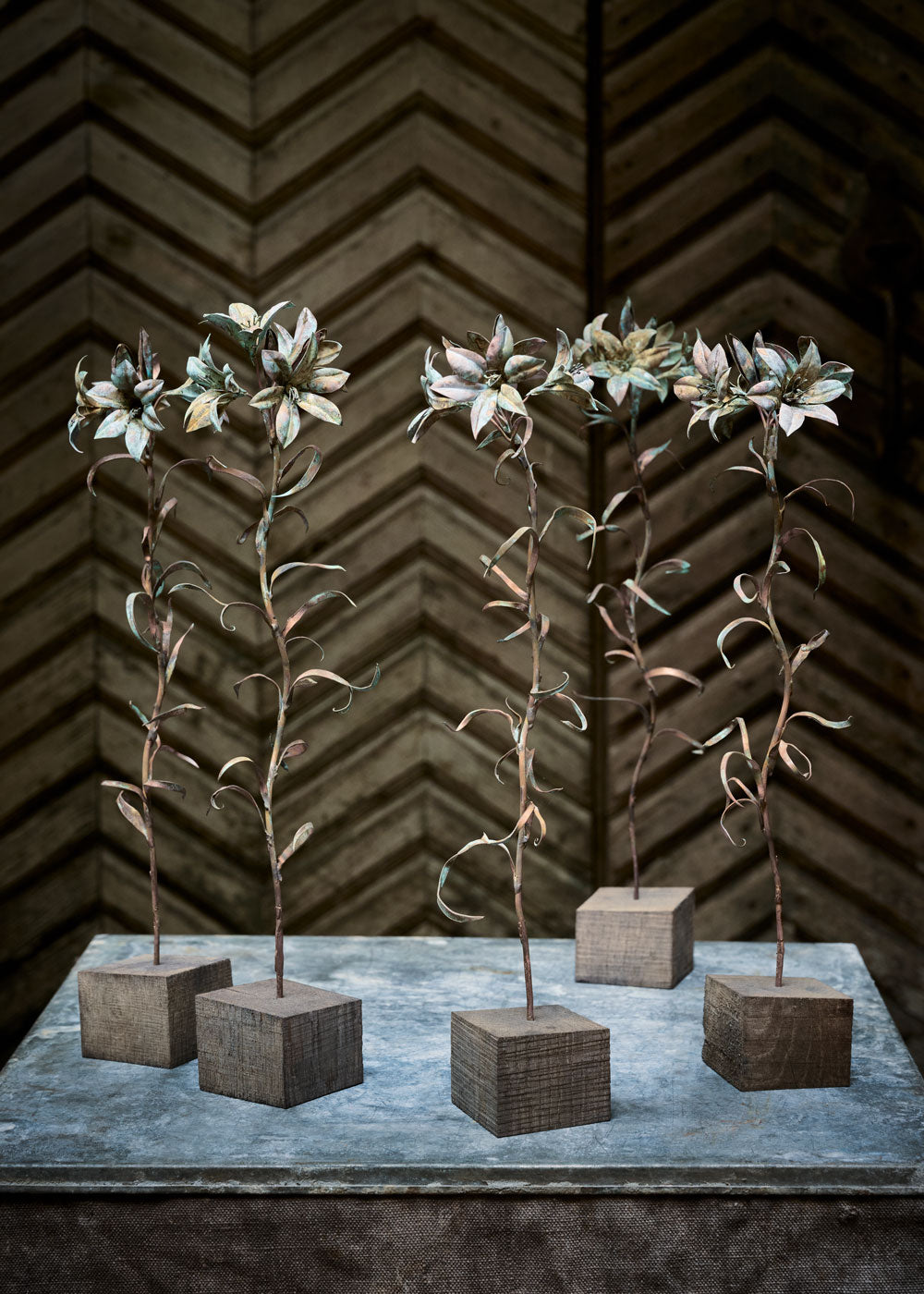 Martagon lily